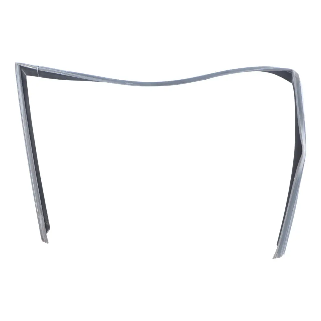 Window Guide Seal Front Right Door O/S to BMW X5 E70 with Part number 7305628 BMW X5 E70 Window Guide Seal Front Right Door O/S - SKU 7305628 - Part number 7305628