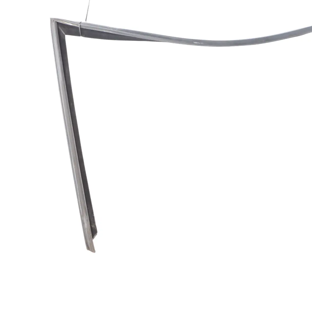 Window Guide Seal Front Right Door O/S to BMW X5 E70 with Part number 7305628 BMW X5 E70 Window Guide Seal Front Right Door O/S - SKU 7305628 - Part number 7305628