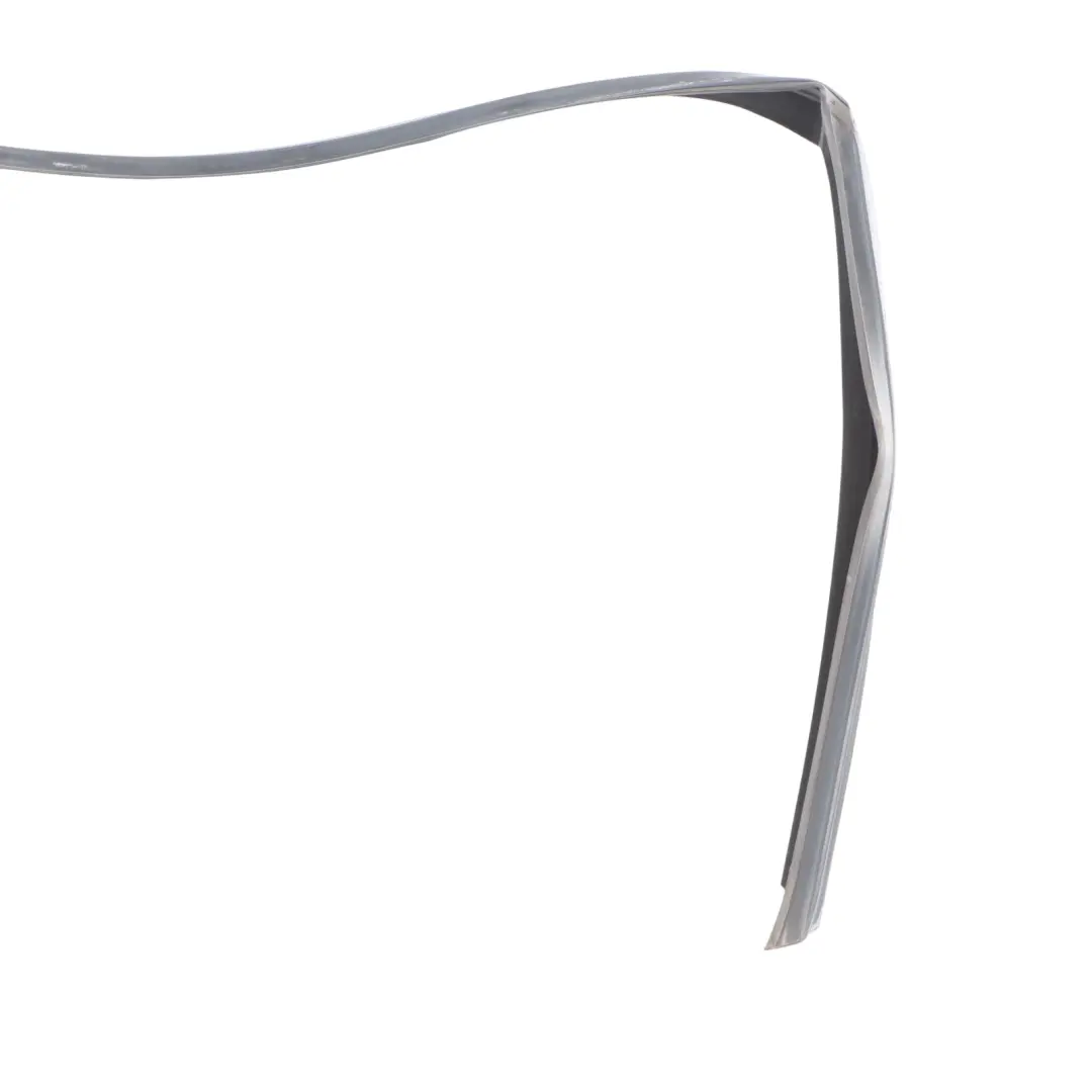BMW X5 E70 Window Guide Seal Front Right Door O/S - SKU 7305628 - Part number 7305628