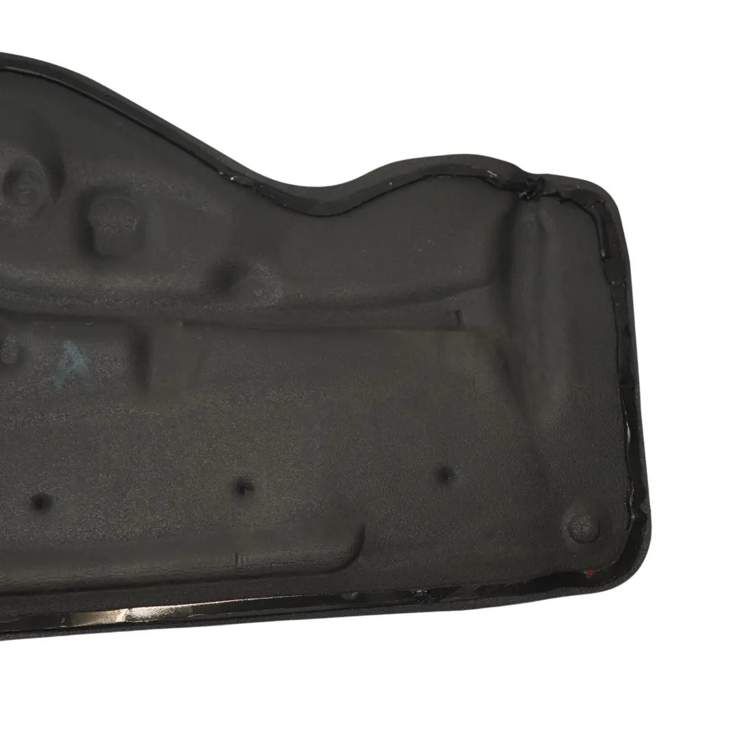 BMW X3 F25 X4 F26 Isolamento acustico porta anteriore destra - SKU 7351196 - Numero di parte 7351196