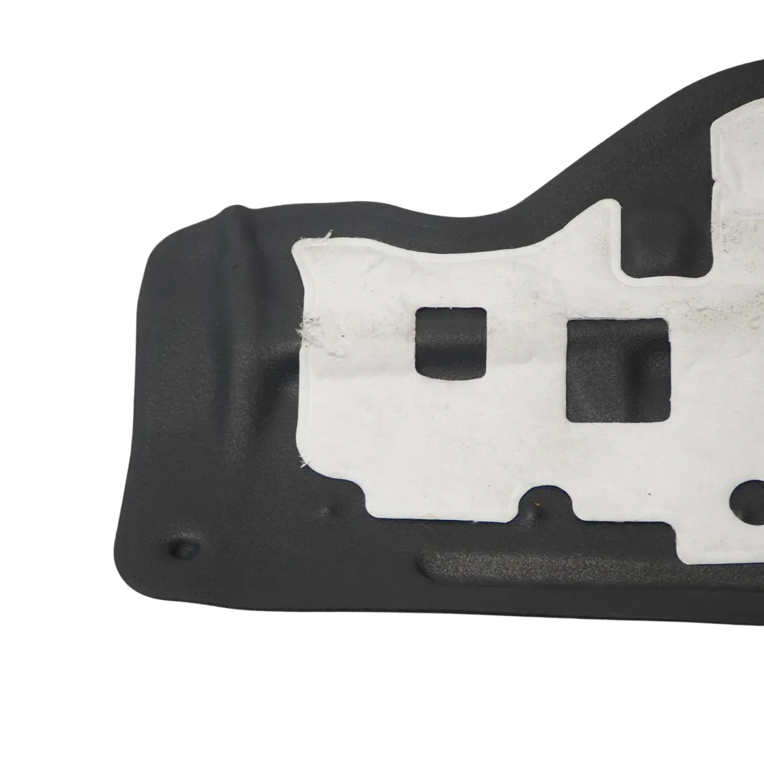 BMW X3 F25 X4 F26 Schall Dämmung Tür Vorne Rechts - SKU 7351196 - Teilenummer 7351196