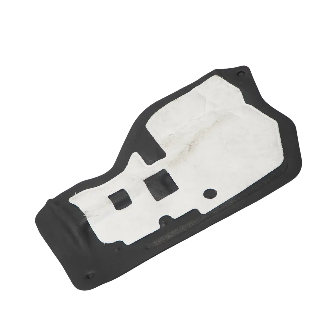 BMW X3 F25 X4 F26 Sound Insulation Door Front Right O/S - SKU 7351196 - Part number 7351196
