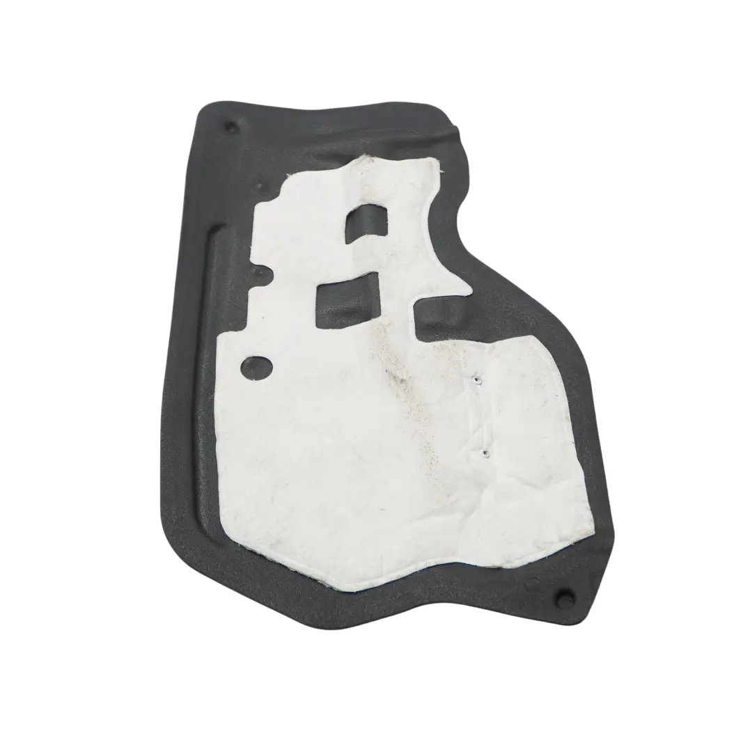 BMW X3 F25 X4 F26 Isolamento acustico porta anteriore destra - SKU 7351196 - Numero di parte 7351196