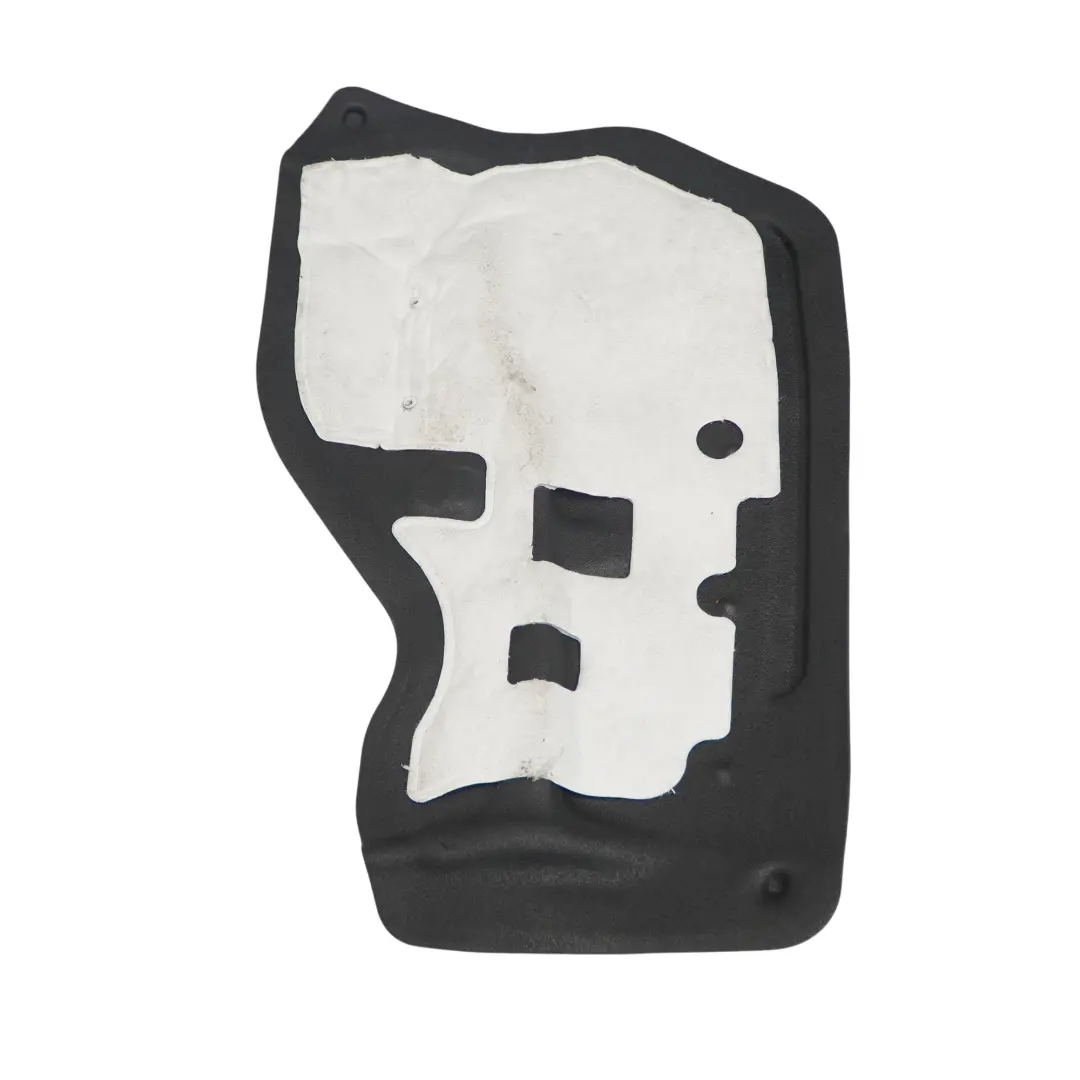 BMW X3 F25 X4 F26 Isolamento acustico porta anteriore destra - SKU 7351196 - Numero di parte 7351196
