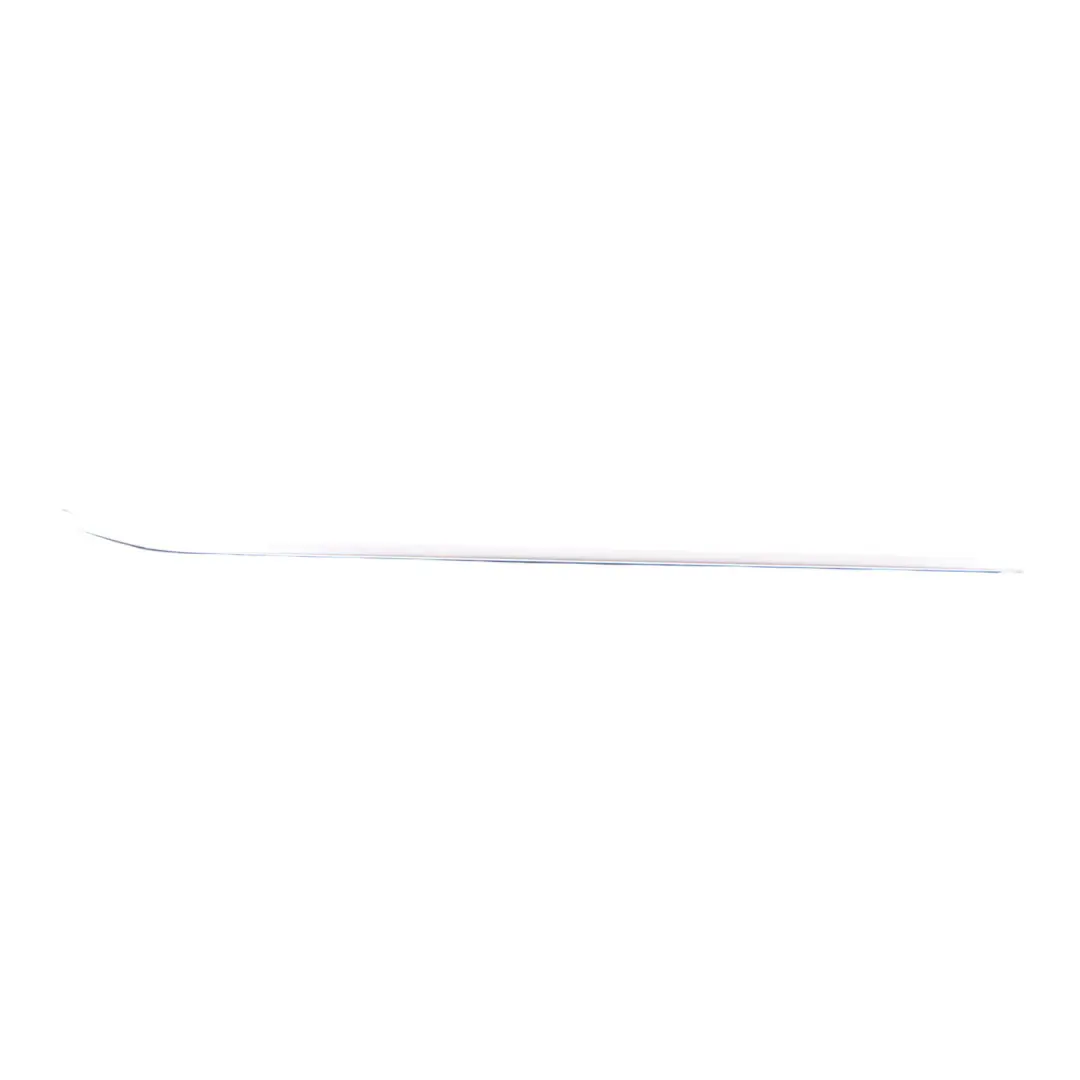 BMW X1 F48 Front Door Window Outer Weather Strip Trim Gasket Left N/S - SKU 7352441 - Part number 7352441