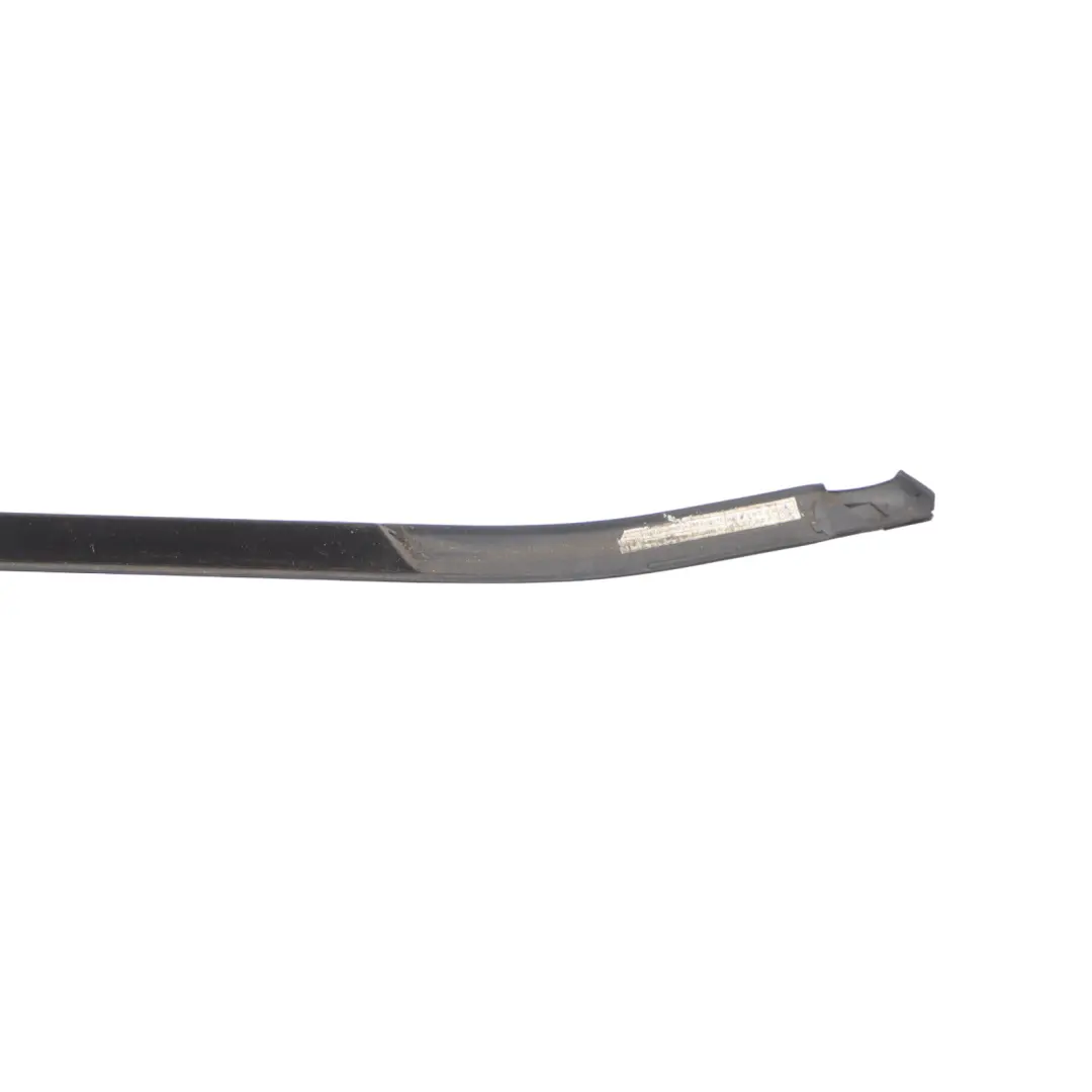 BMW X1 F48 Front Door Window Outer Weather Strip Trim Gasket Left N/S - SKU 7352441 - Part number 7352441