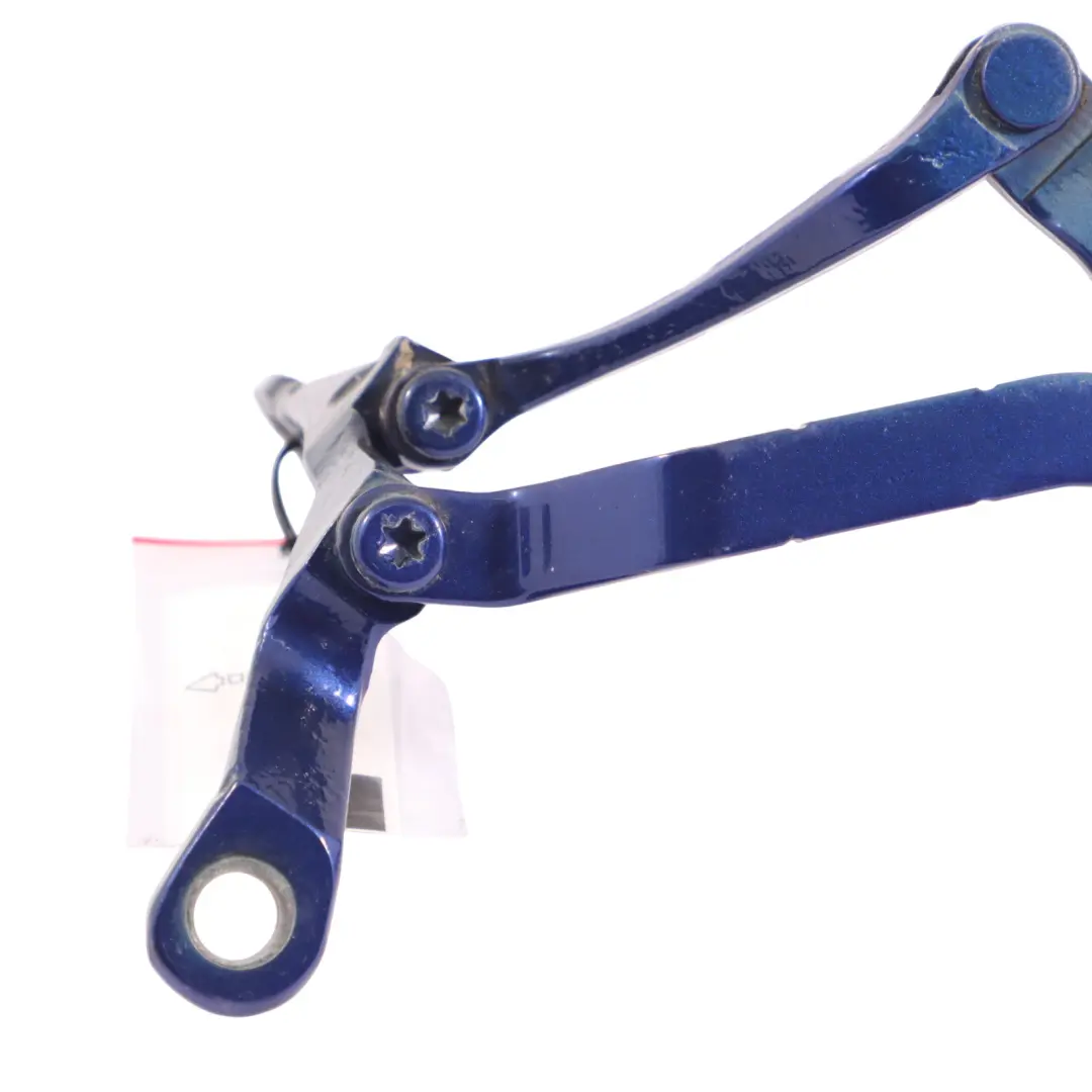 Cerniera Coperchio Bagagliaio Starlight Blue B62 per Mini F57 Cabrio con numero di parte 7360375 Mini F57 Cabrio Cerniera Coperchio Bagagliaio Starlight Blue B62 - SKU 7360375-STB - Numero di parte 7360375