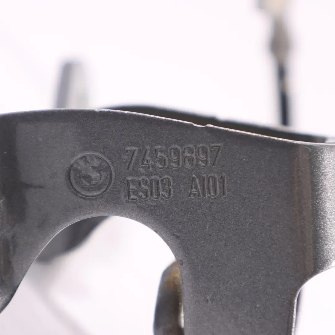 Coperchio Bagagliaio Posteriore Sinistro Boot Spacegrau A52 7459897 per BMW X3 F25 con numero di parte 7463365 BMW X3 F25 Coperchio Bagagliaio Posteriore Sinistro Boot Spacegrau A52 7459897 - SKU 7463365-SCG - Numero di parte 7463365