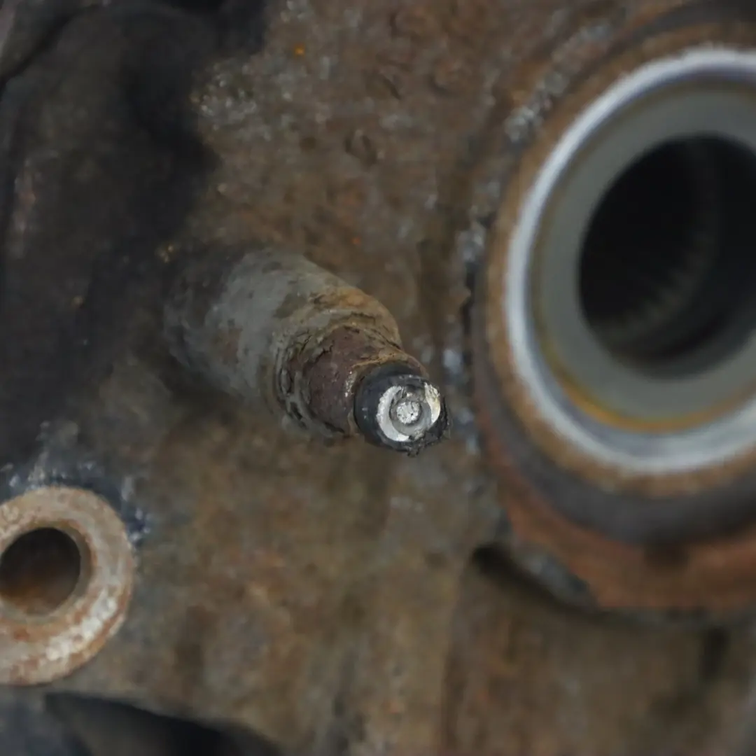 Hinten Rechts Radträger Achsschenkel Brems Scheibe Teller für Audi Q7 4L mit Teilenummer 7L8505436A Audi Q7 4L Hinten Rechts Radträger Achsschenkel Brems Scheibe Teller - SKU 7L8505436A-1 - Teilenummer 7L8505436A