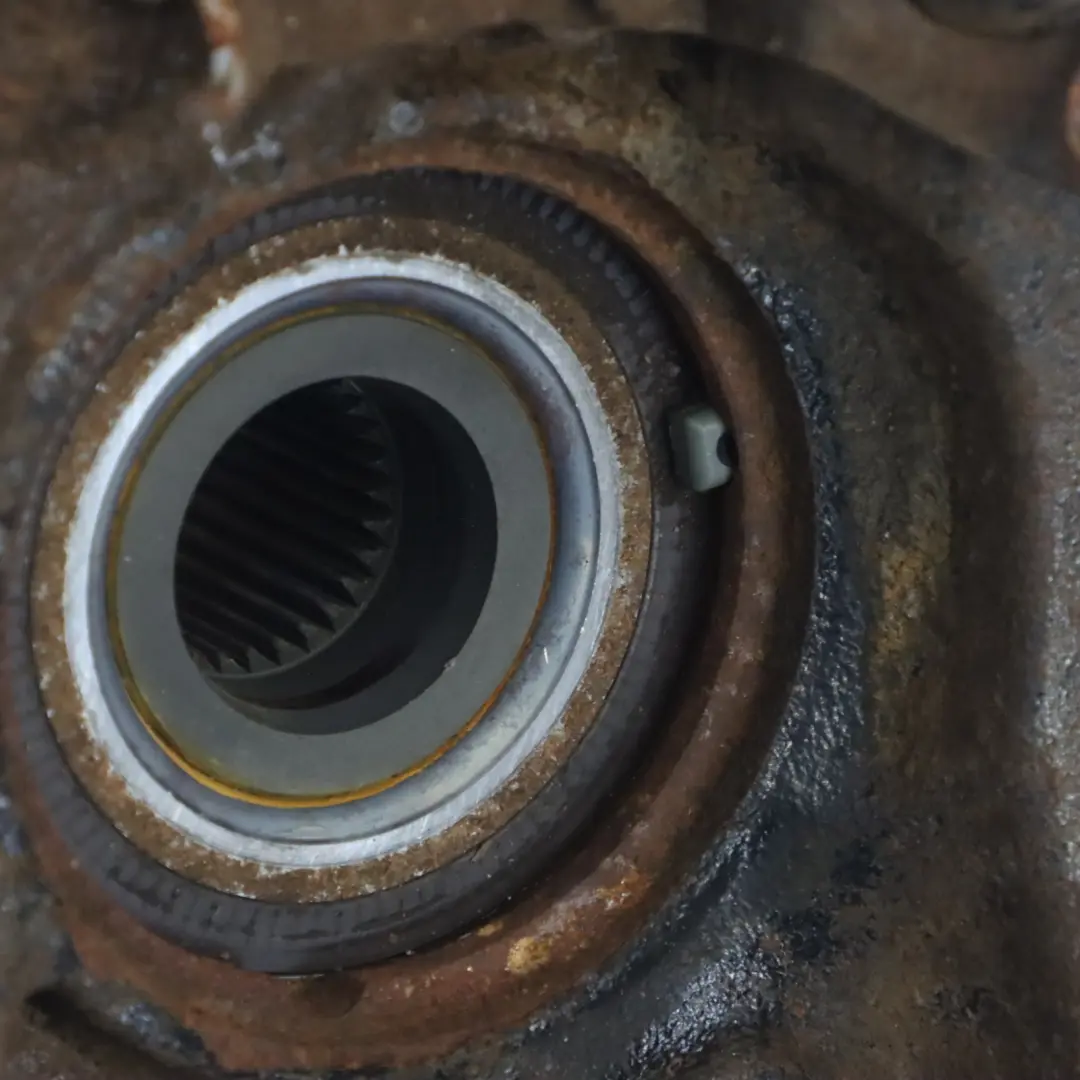 Hinten Rechts Radträger Achsschenkel Brems Scheibe Teller für Audi Q7 4L mit Teilenummer 7L8505436A Audi Q7 4L Hinten Rechts Radträger Achsschenkel Brems Scheibe Teller - SKU 7L8505436A-1 - Teilenummer 7L8505436A