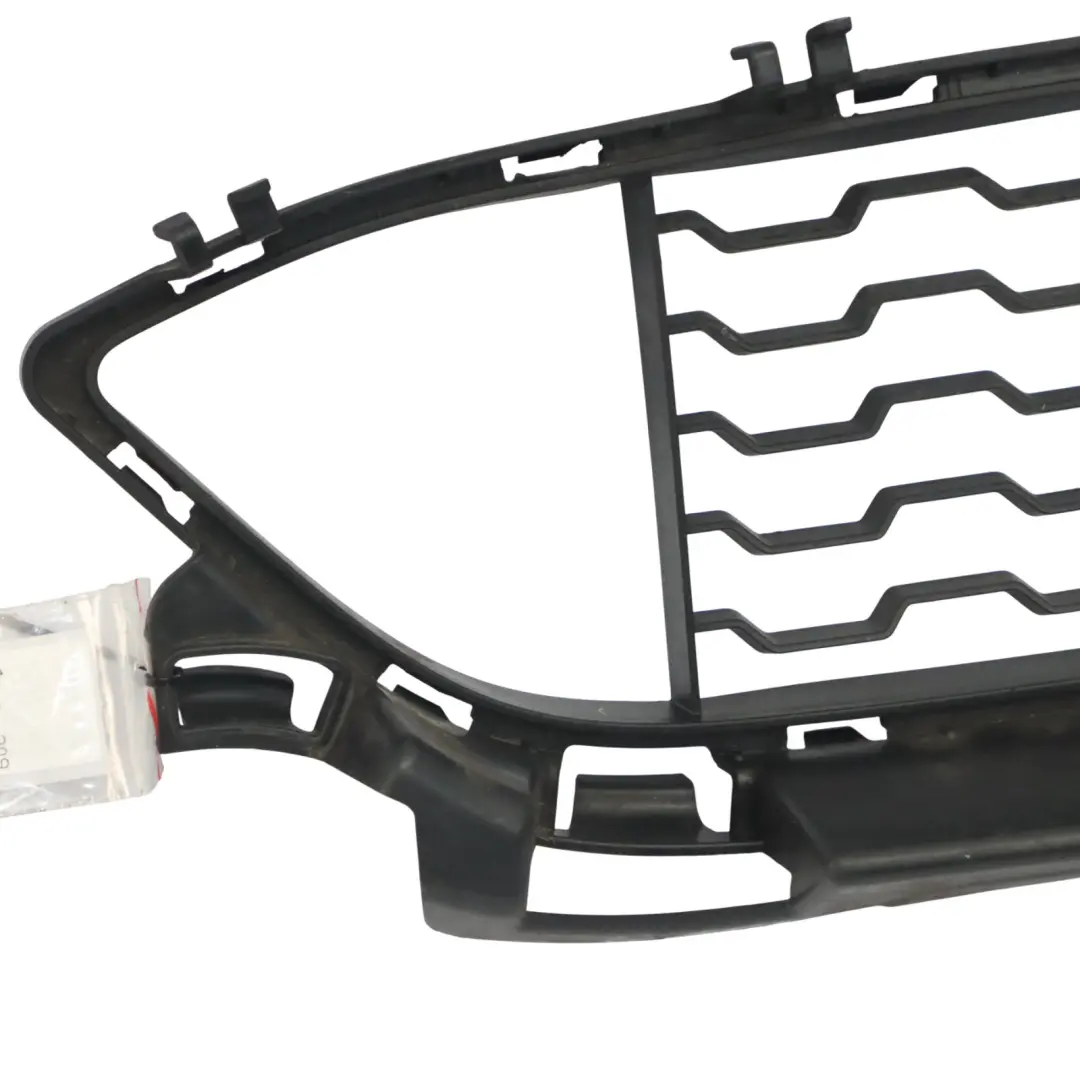 Pare chocs Grille avant centrale Panneau garniture inférieur pour BMW F34 GT à propos du numéro de pièce 8057188 BMW F34 GT Pare chocs Grille avant centrale Panneau garniture inférieur - SKU 8057188 - Numéro de pièce 8057188