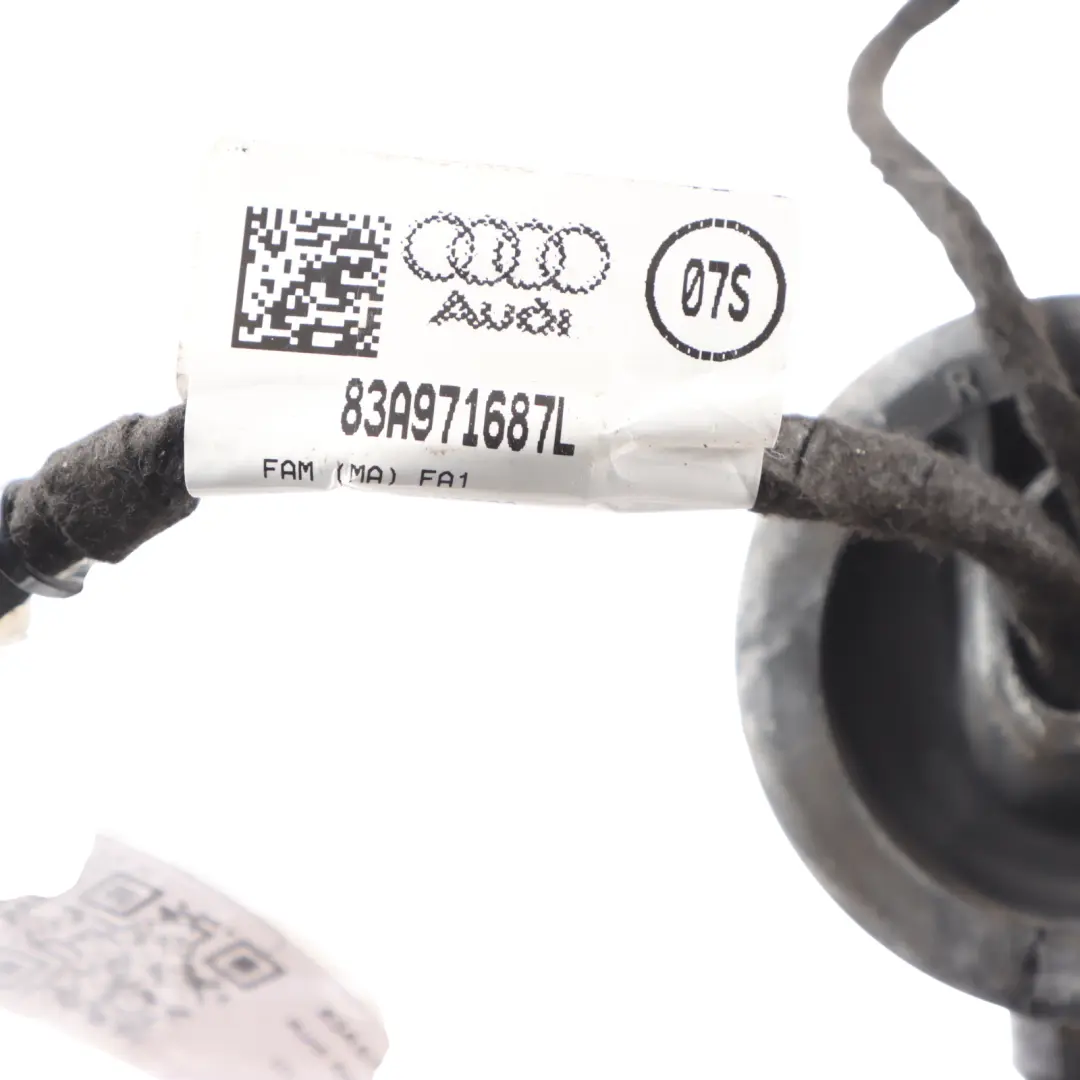 RSQ3 F3 Door Wiring Harness Loom Rear Left N/S Cabling to Audi with Part number 83A971687L Audi RSQ3 F3 Door Wiring Harness Loom Rear Left N/S Cabling - SKU 83A971687L - Part number 83A971687L