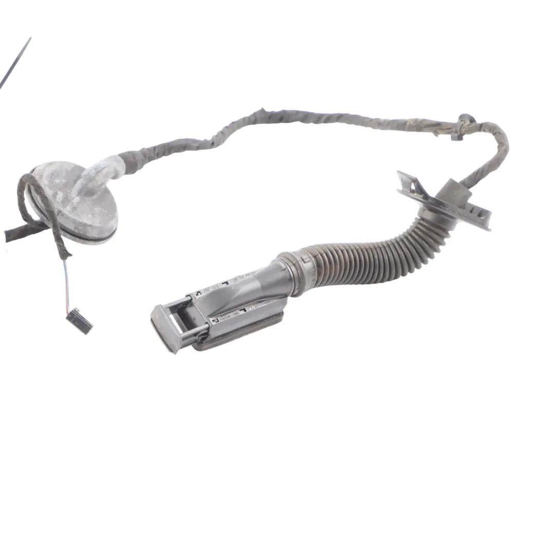 Audi RSQ3 F3 Door Wiring Harness Loom Rear Left N/S Cabling - SKU 83A971687L - Part number 83A971687L