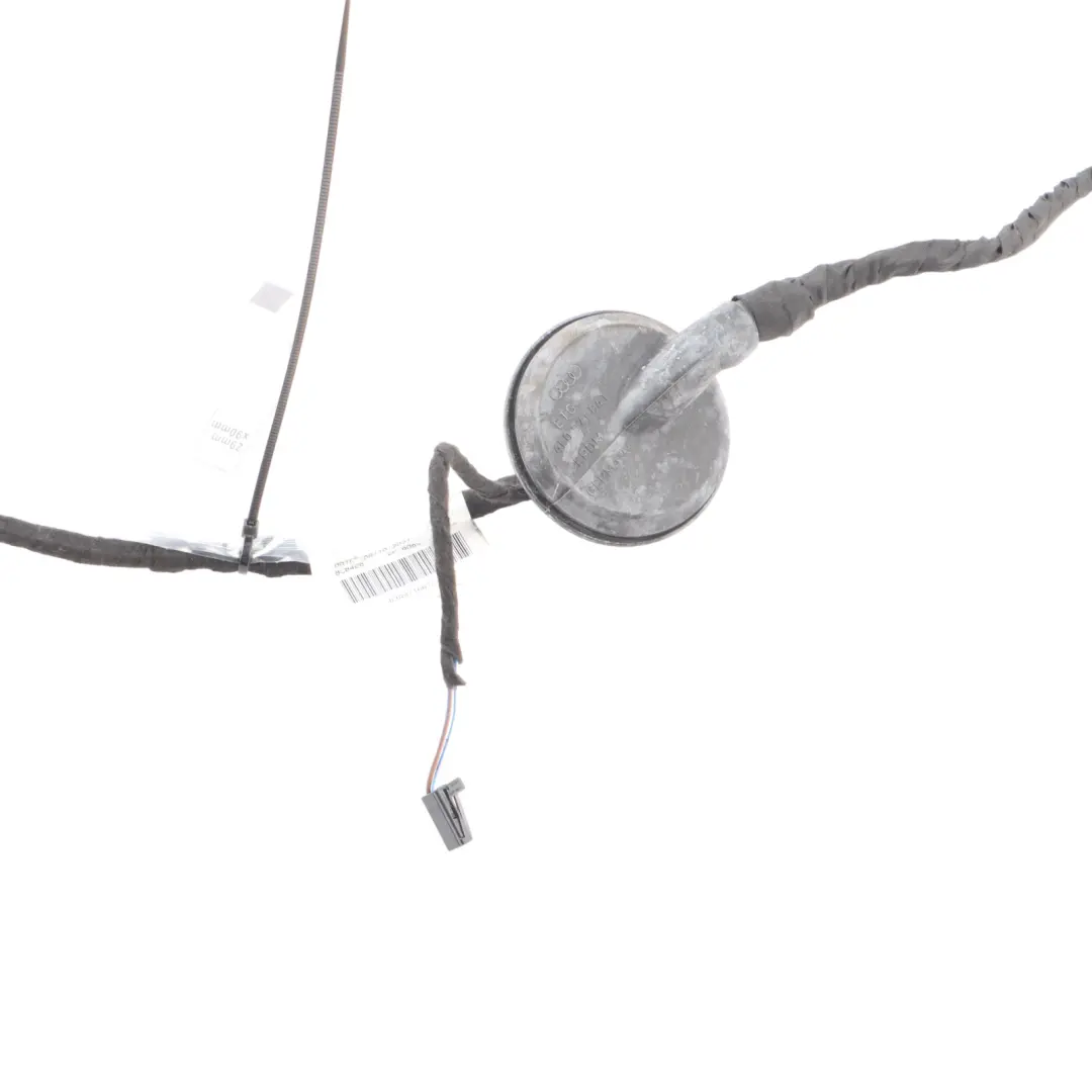 Audi RSQ3 F3 Door Wiring Harness Loom Rear Left N/S Cabling - SKU 83A971687L - Part number 83A971687L