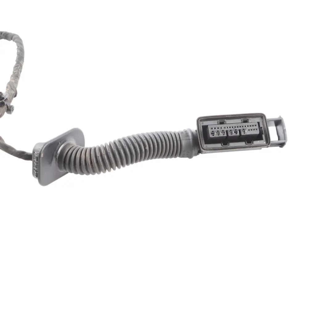 Audi RSQ3 F3 Door Wiring Harness Loom Rear Left N/S Cabling - SKU 83A971687L - Part number 83A971687L