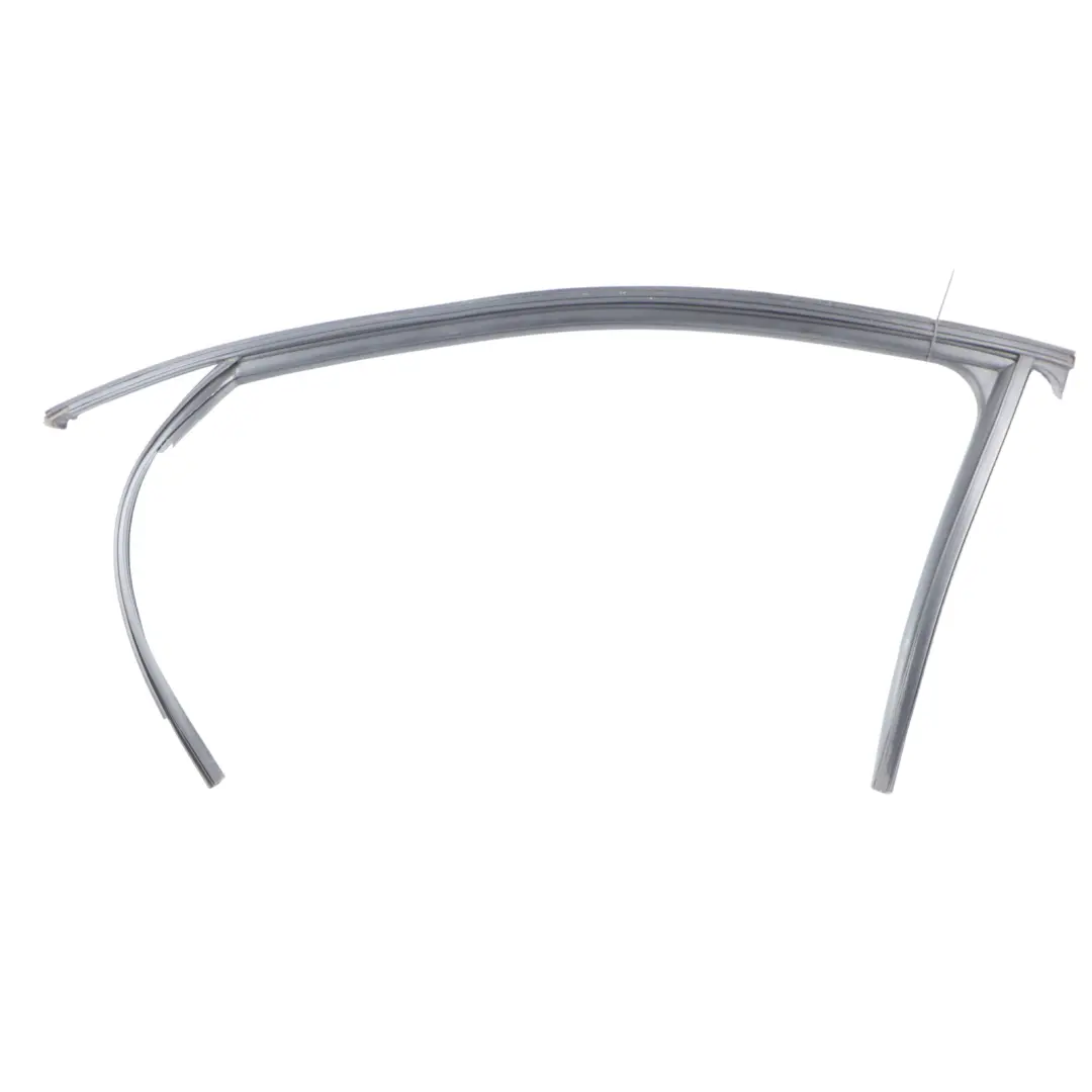 Audi Q3 F3 Door Window Guide Seal Gasket Frame Front Left N/S - SKU 83F837431 - Part number 83F837431