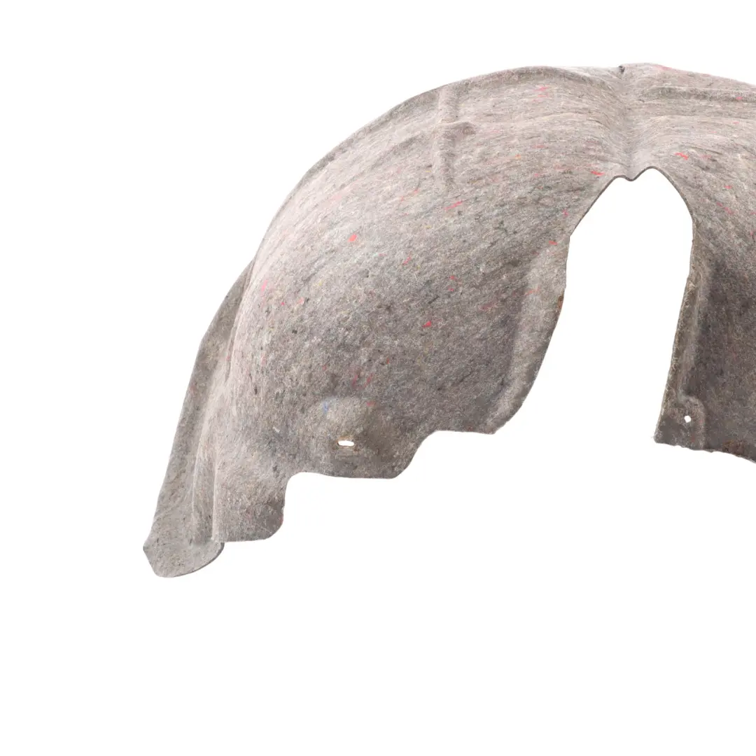 Audi TT 8J Wheel Arch Rear Left N/S Liner Splash Guard Covering - SKU 8J0810171B - Part number 8J0810171B