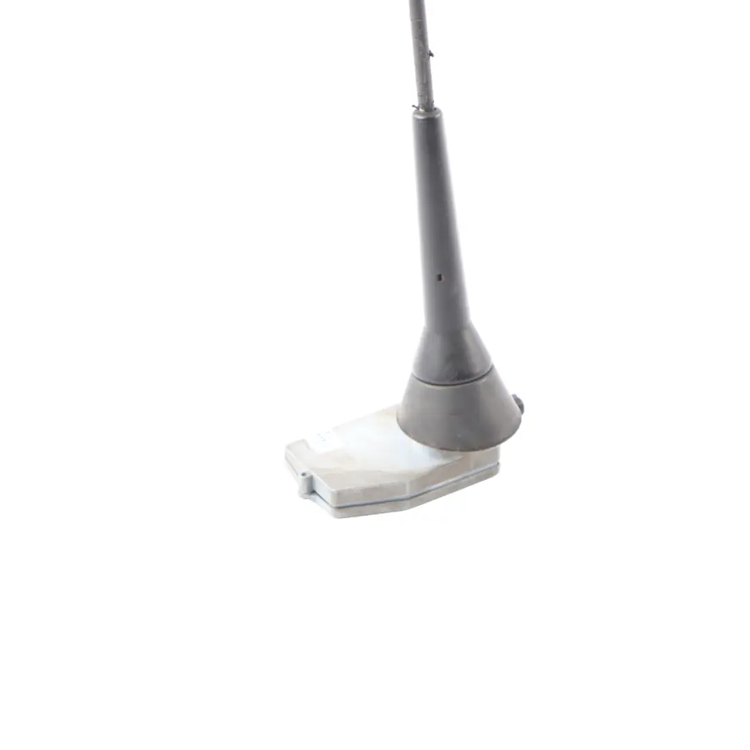 Audi TT 8N Roof Antenna Aerial Rod Radio Stereo - SKU 8N7035501 - Part number 8N7035501