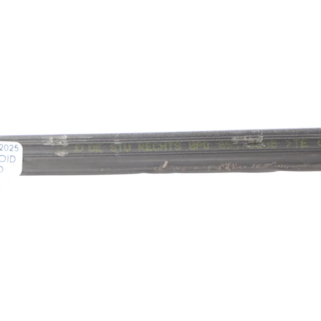 Audi A3 8P Moldura deflectora agua parabrisas delantero derecha - SKU 8P0854328B - Número de pieza 8P0854328B