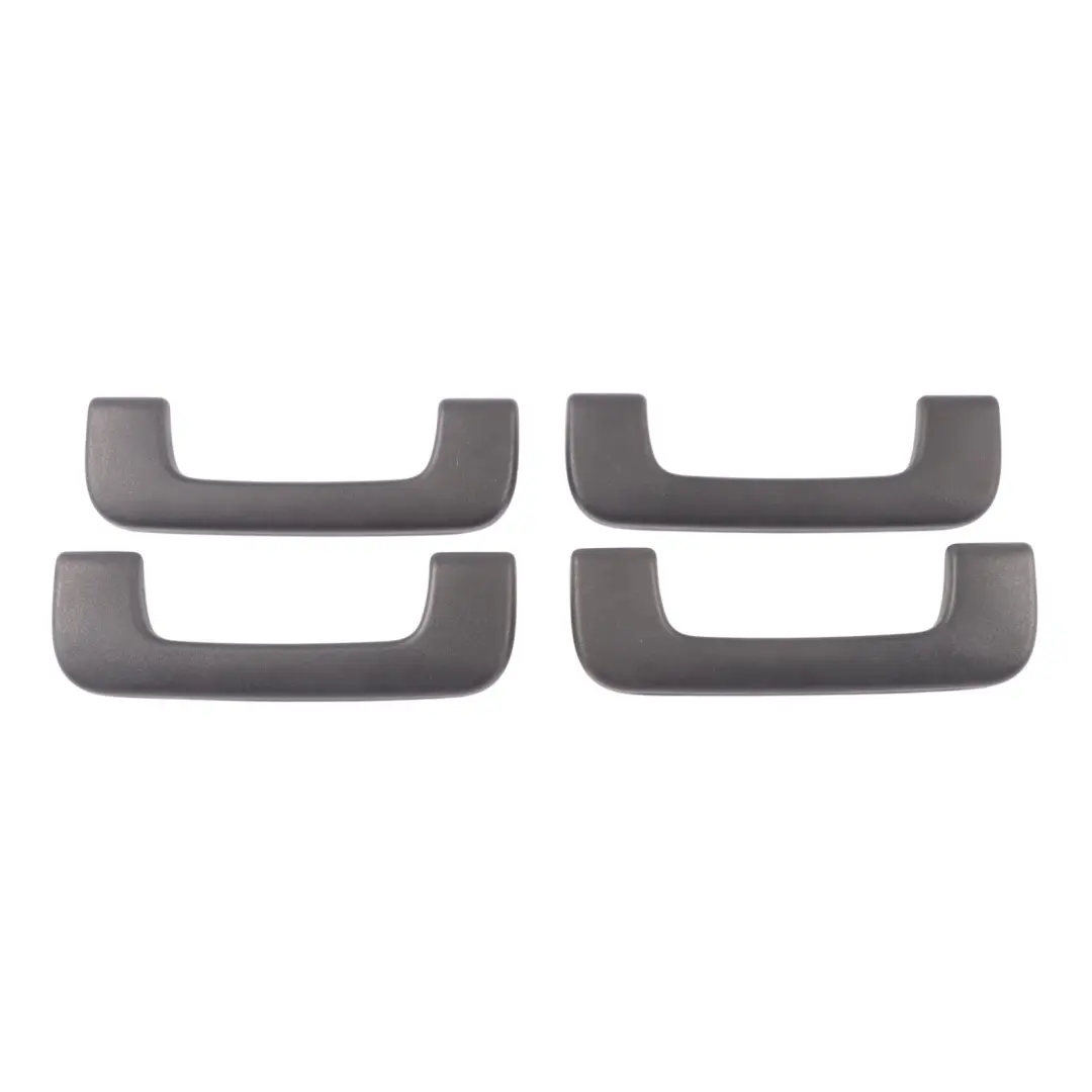 Interior Roof Grab Handle Front Rear Set Black 8P0857607M to Audi A6 C6 FL with Part number 8P0857607M-1 Audi A6 C6 FL Interior Roof Grab Handle Front Rear Set Black 8P0857607M - SKU 8P0857607M-1 - Part number 8P0857607M-1