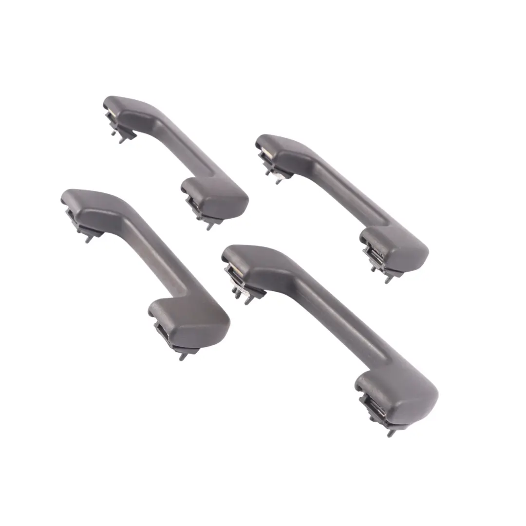 Poignée de toit intérieure avant arrière Set Noir pour Audi A6 C6 FL à propos du numéro de pièce 8P0857607M Audi A6 C6 FL Poignée de toit intérieure avant arrière Set Noir - SKU 8P0857607M-1 - Numéro de pièce 8P0857607M