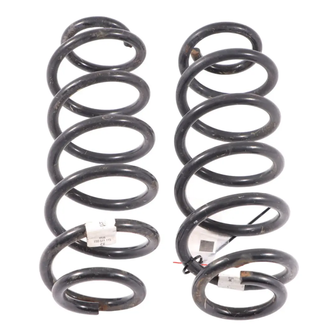 Audi TT FV Hinter Achs Federung Schrauben Feder Satz - SKU 8S0511115CE - Teilenummer 8S0511115CE