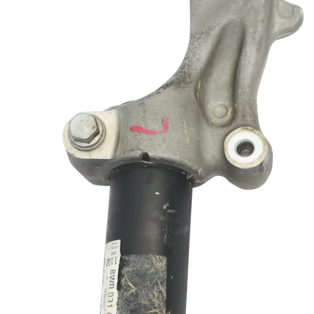 Audi A4 B9 Puntone a molla anteriore sinistro Sospensione - SKU 8W0413031AA-1 - Numero di parte 8W0413031AA
