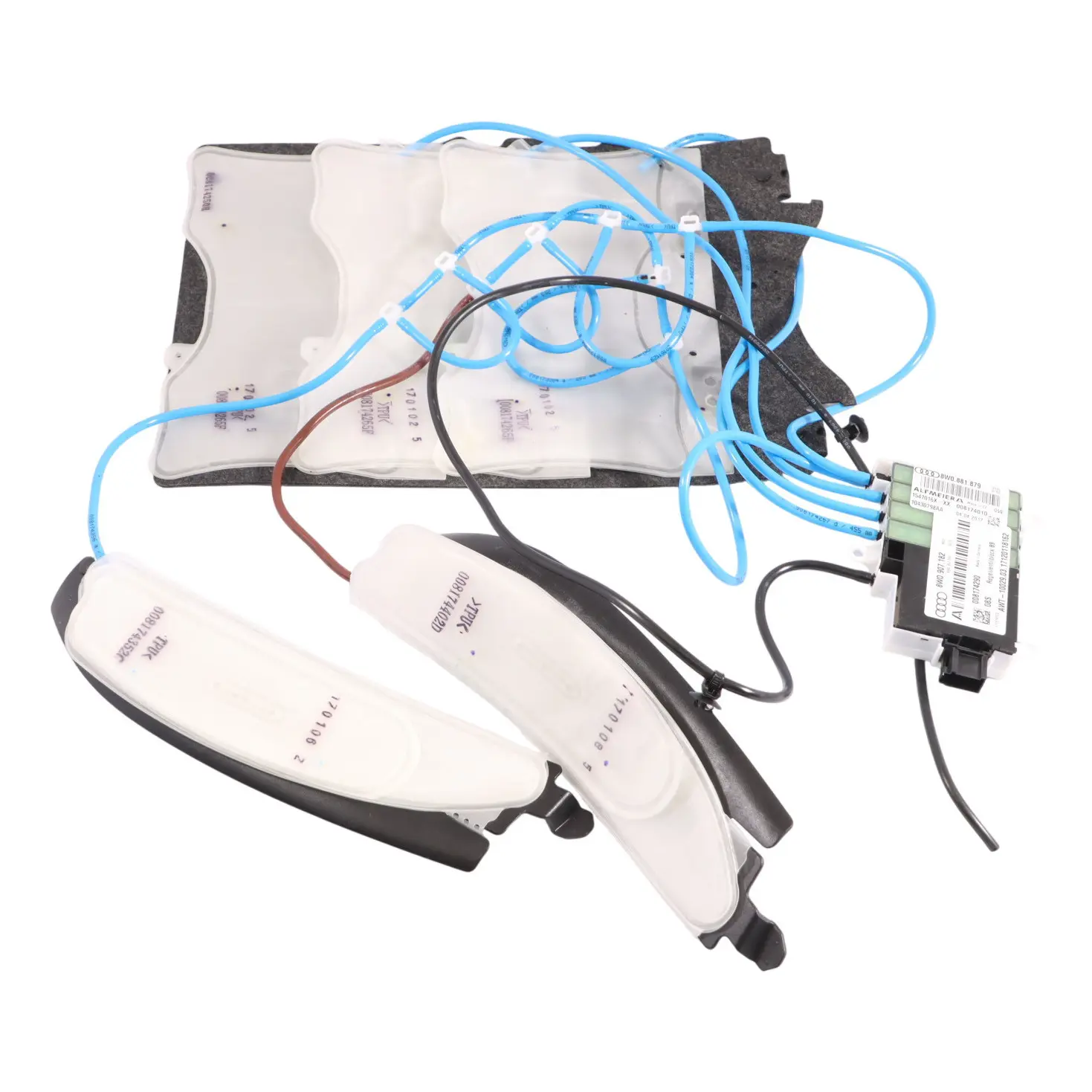 Audi A4 S4 B9 Vorder Sitz Lendenwirbelstütze 8W0881879