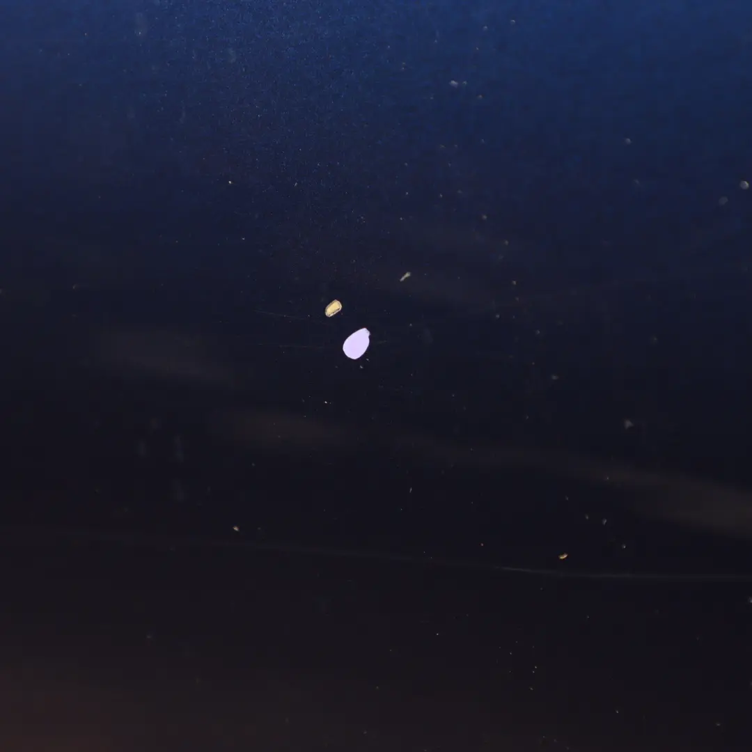 Audi A5 F5 Sportback Door Rear Right O/S Covering Panel Navarra Blue - X5H - SKU 8W8833052J-NAB - Part number 8W8833052J