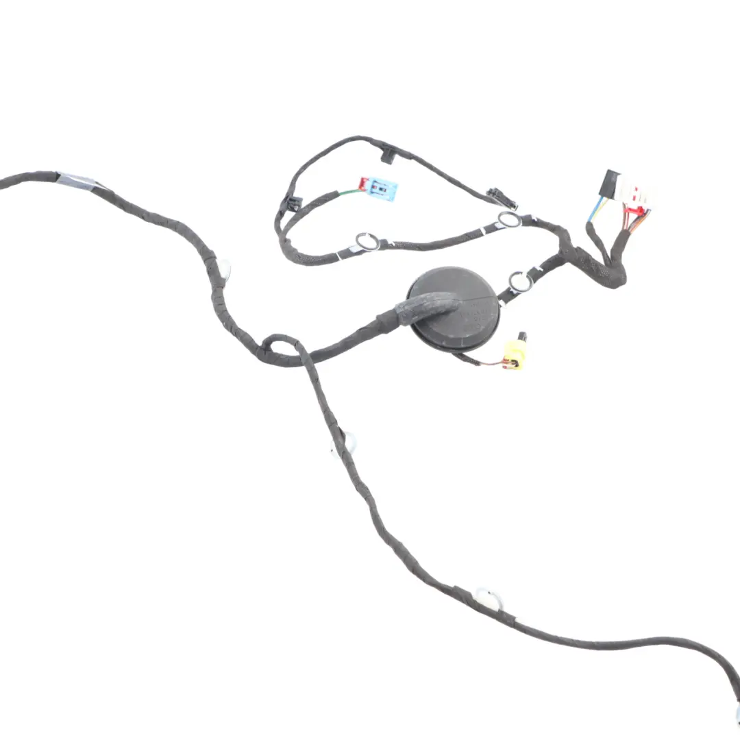 Audi A5 F5 Front Passenger's Door Wiring Harness Loom 8W8971030D - SKU 8W8971030AC - Part number 8W8971030AC