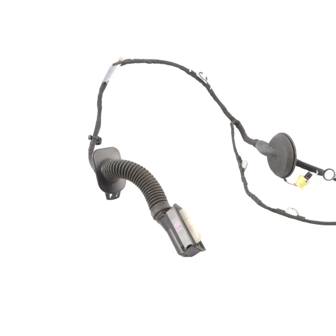 Front Passenger's Door Wiring Harness Loom 8W8971030D to Audi A5 F5 with Part number 8W8971030AC Audi A5 F5 Front Passenger's Door Wiring Harness Loom 8W8971030D - SKU 8W8971030AC - Part number 8W8971030AC