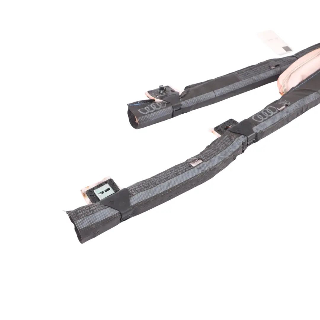Audi A1 8X padiglione tenda tetto modulo aria sinistro - SKU 8X3880741B - Numero di parte 8X3880741B