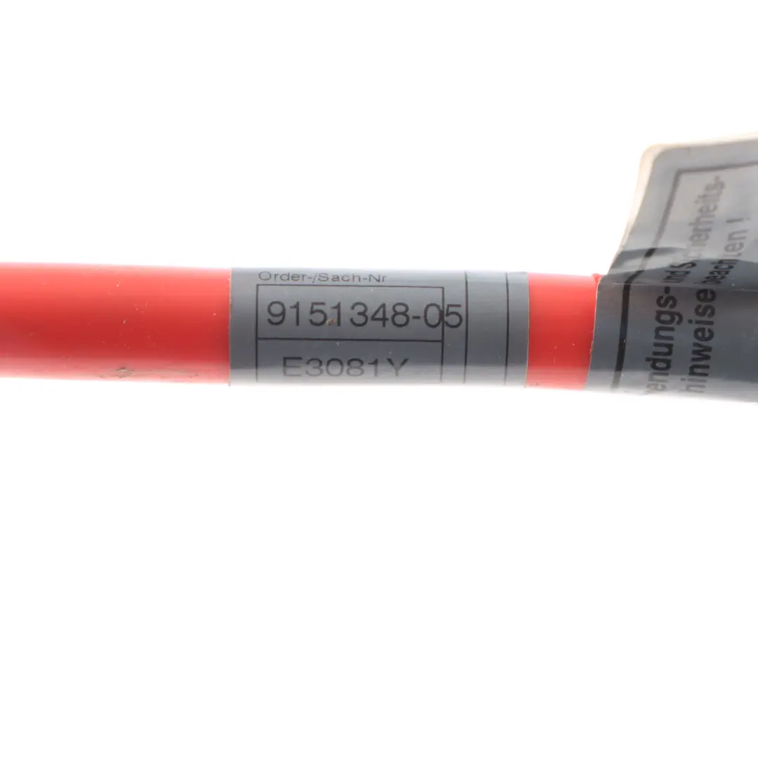 Positive Terminal Lead Clamp Wire Harness Cable Loom to BMW F07 HV Battery with Part number 9151348 BMW F07 HV Battery Positive Terminal Lead Clamp Wire Harness Cable Loom - SKU 9151348 - Part number 9151348