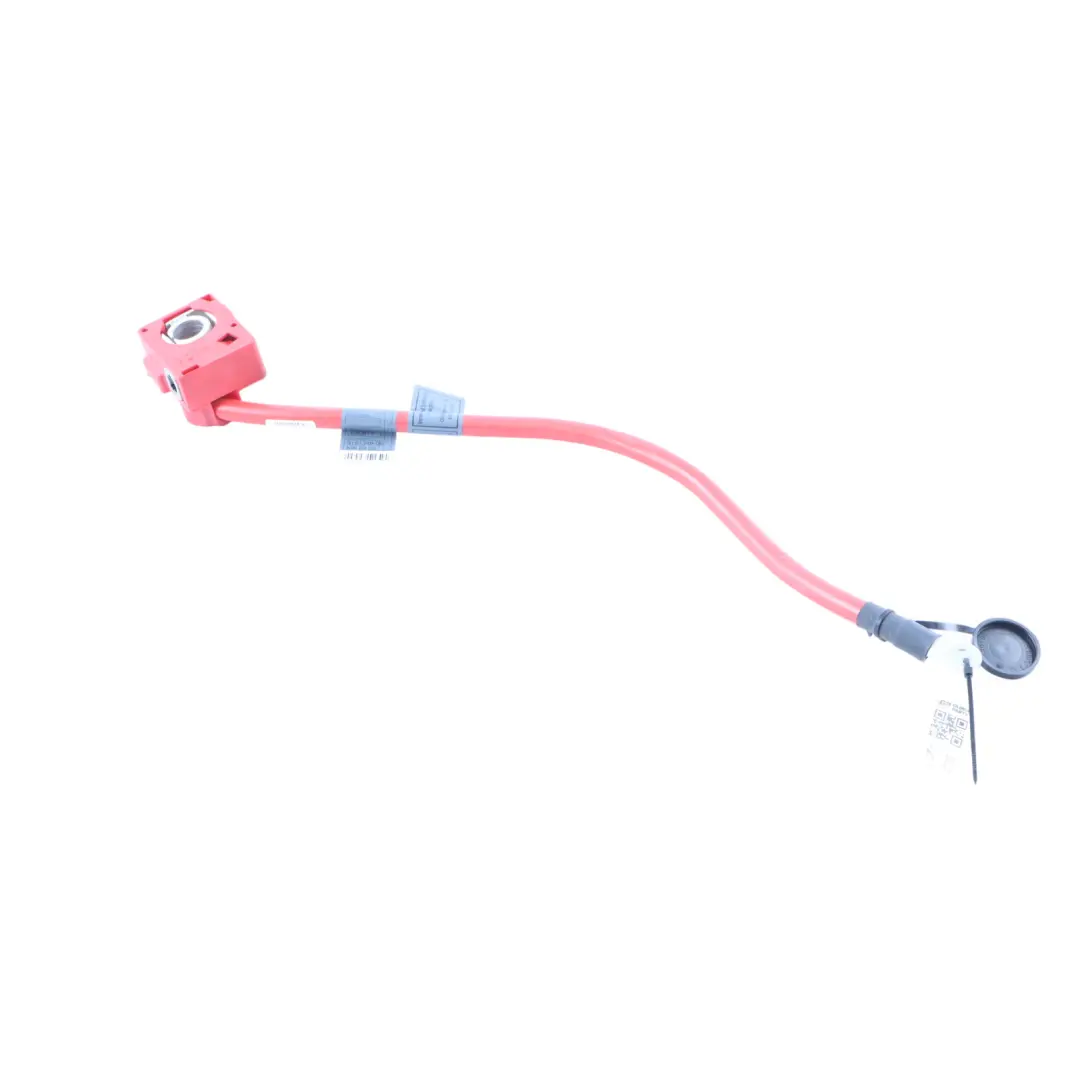 Positive Terminal Lead Clamp Wire Harness Cable Loom to BMW F07 HV Battery with Part number 9151348 BMW F07 HV Battery Positive Terminal Lead Clamp Wire Harness Cable Loom - SKU 9151348 - Part number 9151348