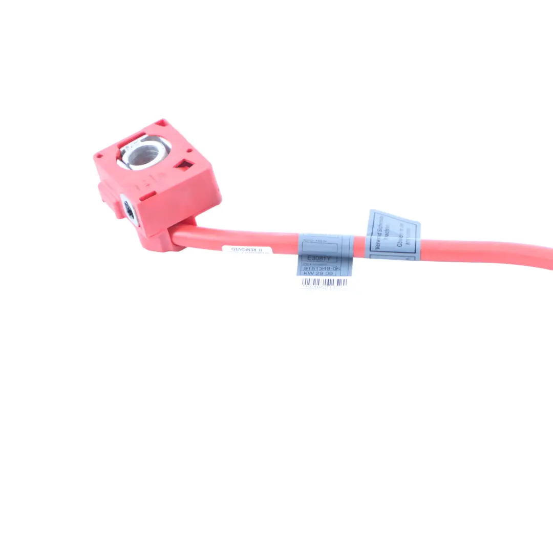 Positive Terminal Lead Clamp Wire Harness Cable Loom to BMW F07 HV Battery with Part number 9151348 BMW F07 HV Battery Positive Terminal Lead Clamp Wire Harness Cable Loom - SKU 9151348 - Part number 9151348