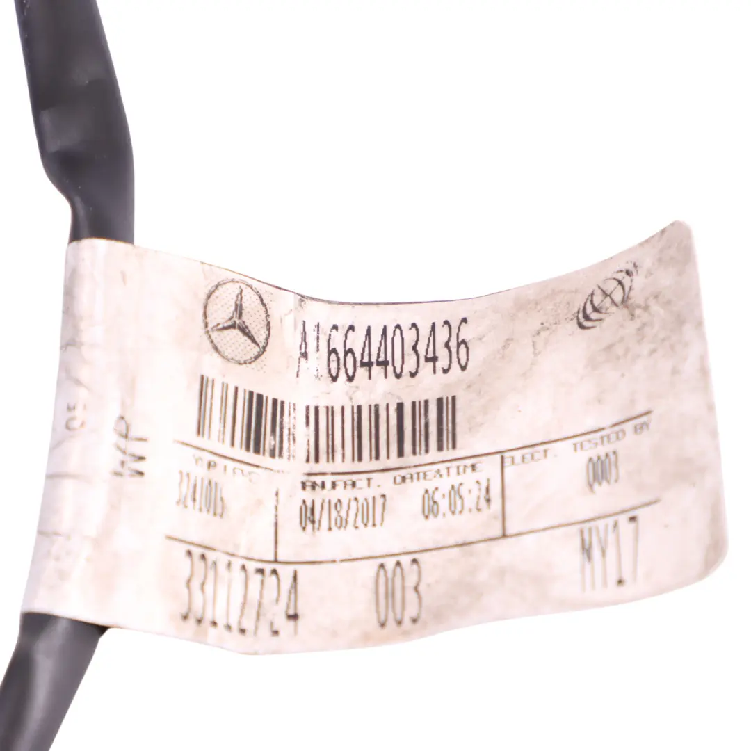 Kabelbaum Automatik Getriebe für Mercedes GLE W166 mit Teilenummer A1664403436 Mercedes GLE W166 Kabelbaum Automatik Getriebe - SKU A1664403436 - Teilenummer A1664403436