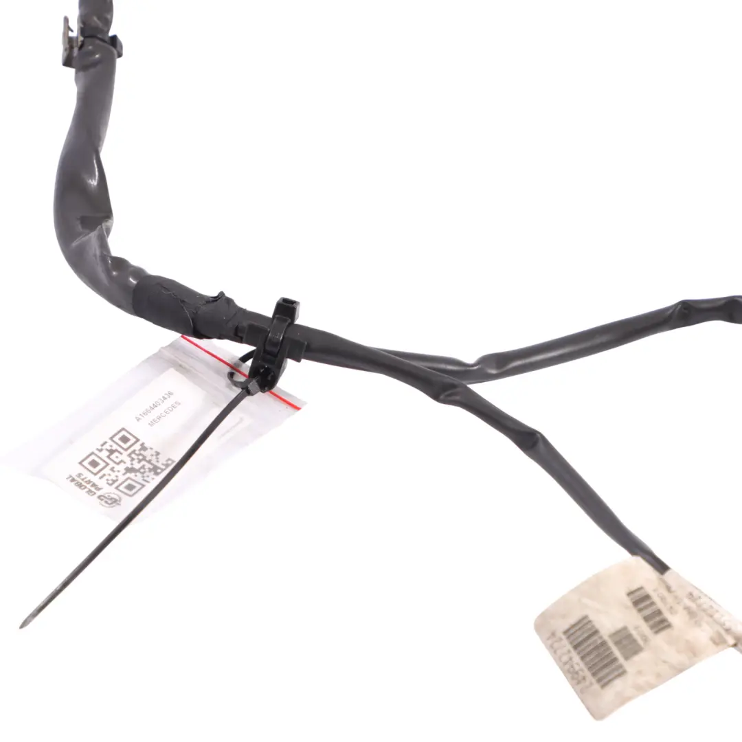 Faisceau De Câbles Boîte Vitesses Automatique pour Mercedes GLE W166 à propos du numéro de pièce A1664403436 Mercedes GLE W166 Faisceau De Câbles Boîte Vitesses Automatique - SKU A1664403436 - Numéro de pièce A1664403436