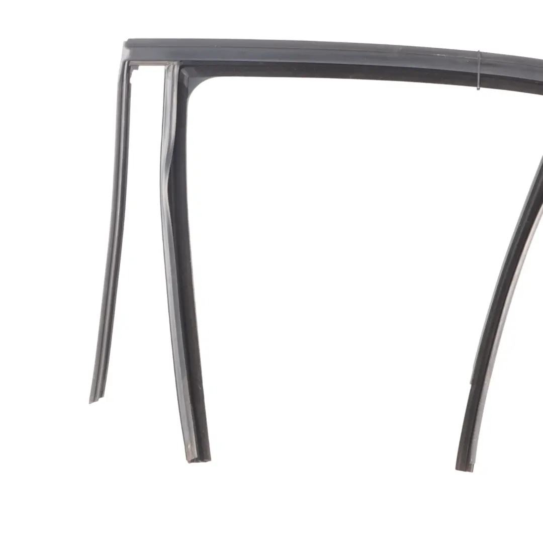 Mercedes W166 Door Window Frame Guide Rail Seal Rubber Rear Left N/S - SKU A1667350925 - Part number A1667350925