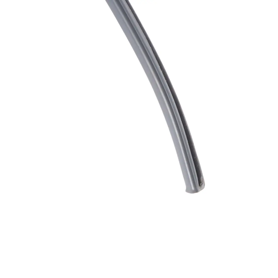 Mercedes W166 Door Window Frame Guide Rail Seal Rubber Rear Left N/S - SKU A1667350925 - Part number A1667350925