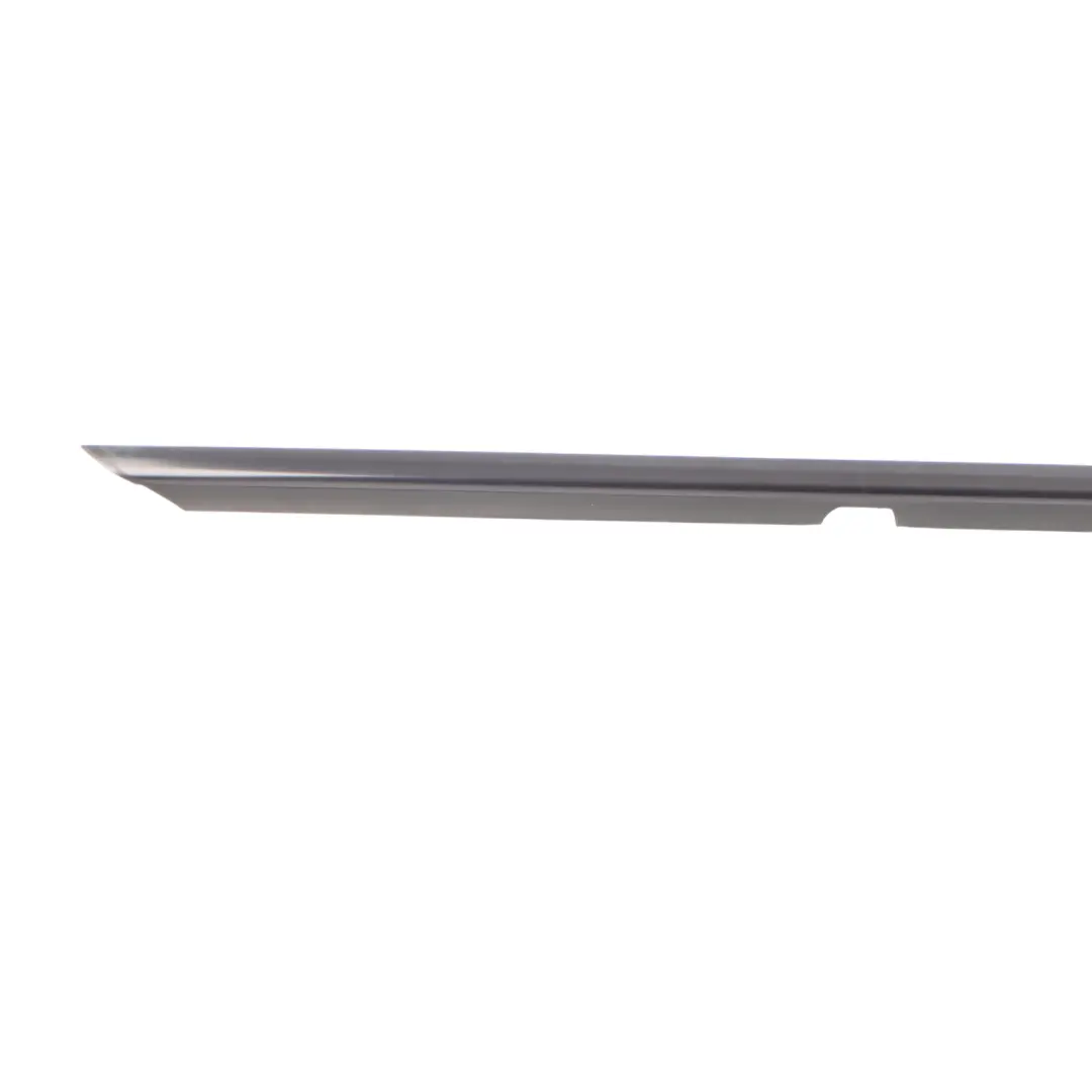 Sealing Rail Outer Door Rear Left N/S Moulding Strip Mercedes W166 - SKU A1667356900 - Part number A1667356900