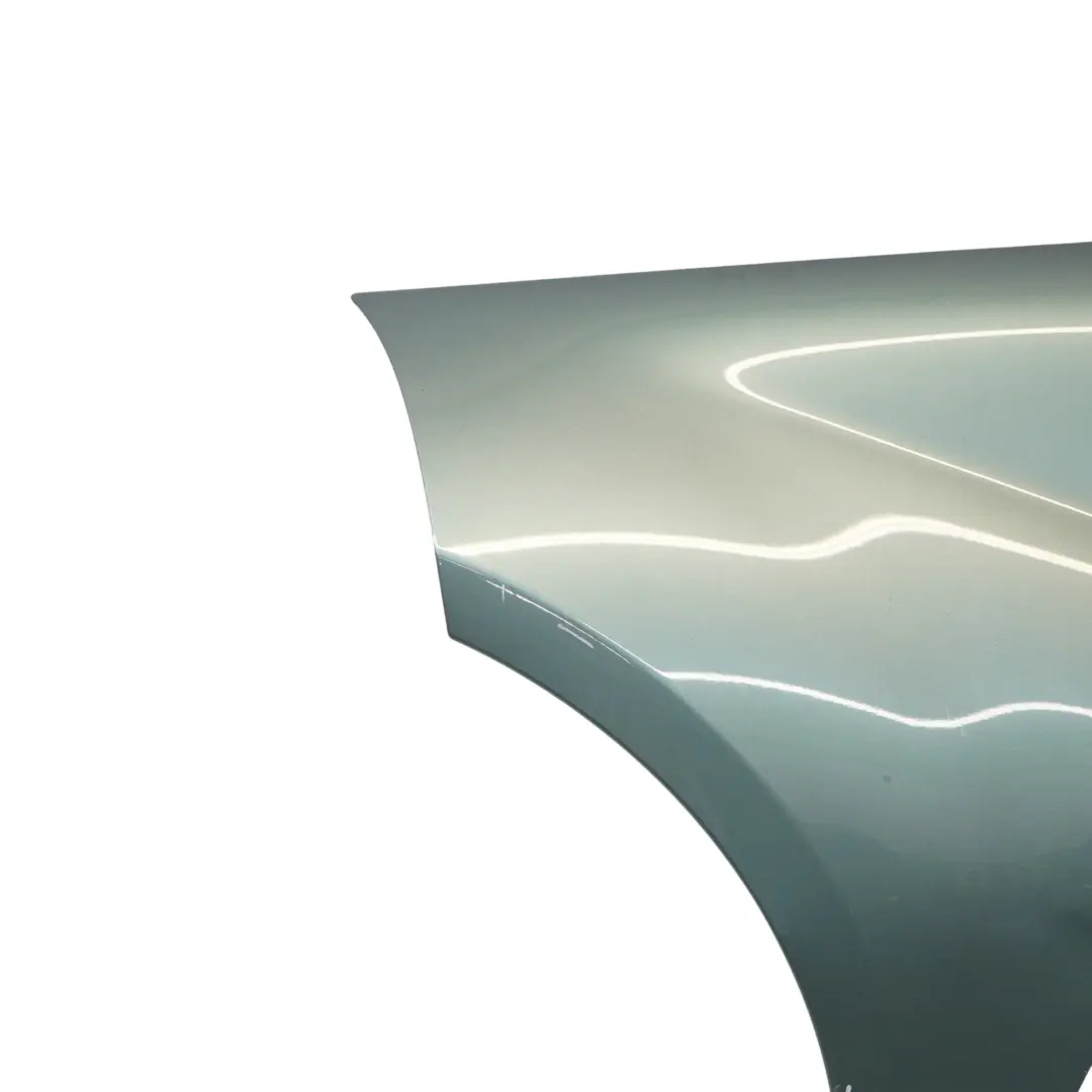 Mercedes: W169 Front Left N/S Side Panel Wing Fender Spring Source Blue - 958 to with Part number A1698810101 Mercedes: W169 Front Left N/S Side Panel Wing Fender Spring Source Blue - 958 - SKU A1698810101-SSO - Part number A1698810101