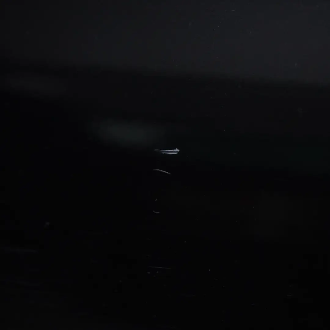 W219 CLS Porta anteriore destra Obsidian Black Metallic - 197 per Mercedes con numero di parte A2197200205 Mercedes W219 CLS Porta anteriore destra Obsidian Black Metallic - 197 - SKU A2197200205-OB - Numero di parte A2197200205