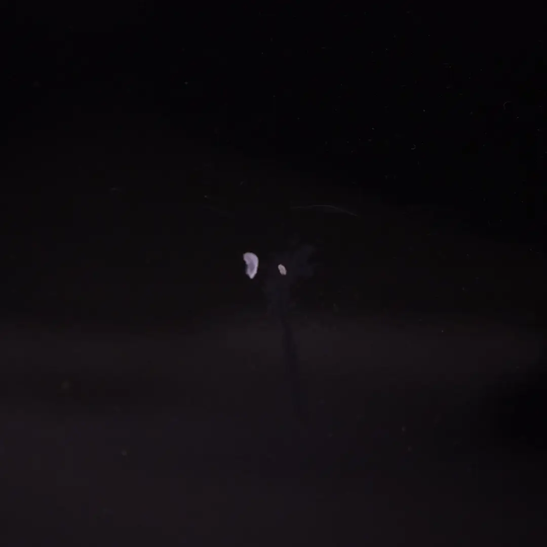 W219 CLS Porta anteriore destra Obsidian Black Metallic - 197 per Mercedes con numero di parte A2197200205 Mercedes W219 CLS Porta anteriore destra Obsidian Black Metallic - 197 - SKU A2197200205-OB - Numero di parte A2197200205