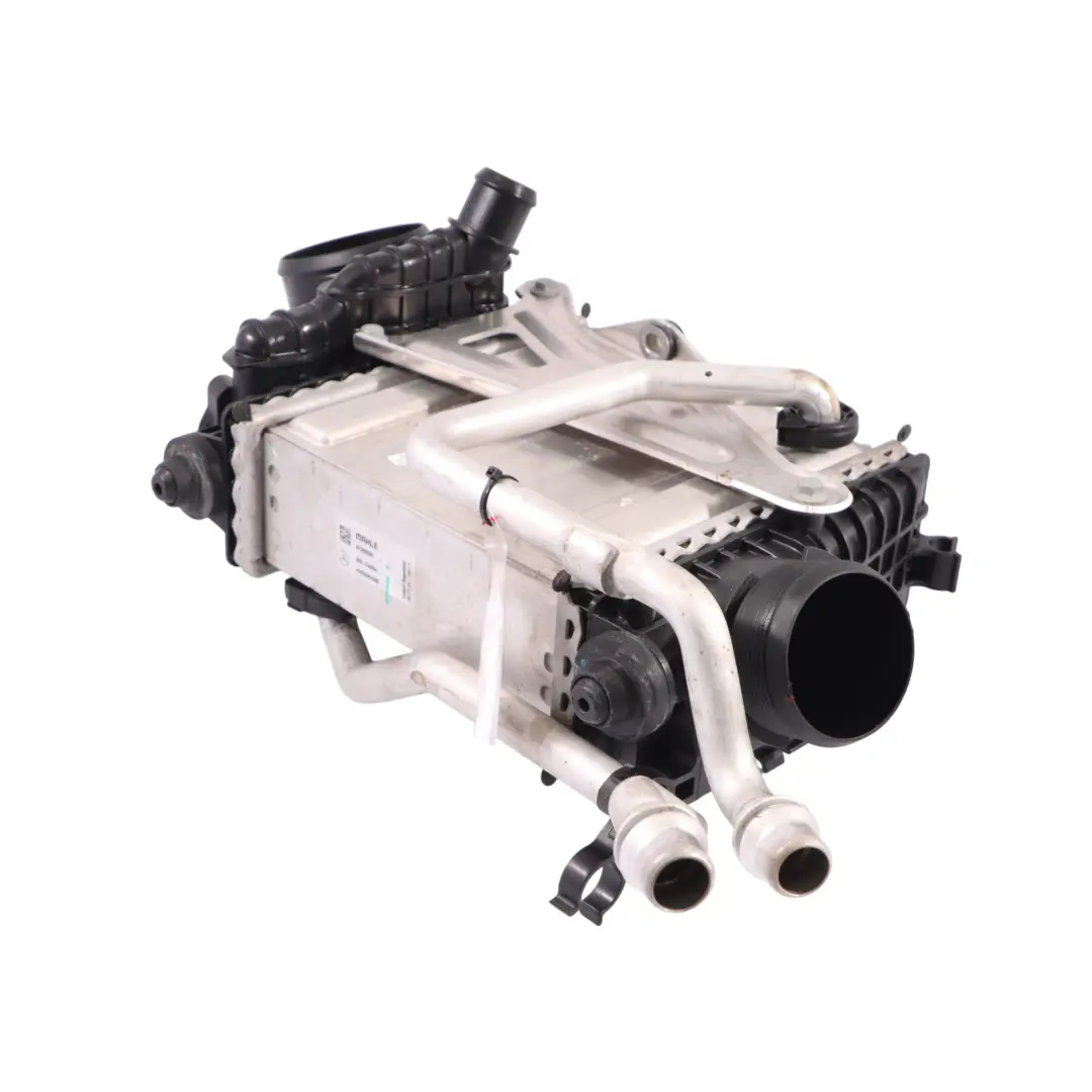 A45 AMG Raffreddatore Aria Carica Intercooler Benzina per Mercedes V177 con numero di parte A2600906600 Mercedes V177 A45 AMG Raffreddatore Aria Carica Intercooler Benzina - SKU A2600906600 - Numero di parte A2600906600