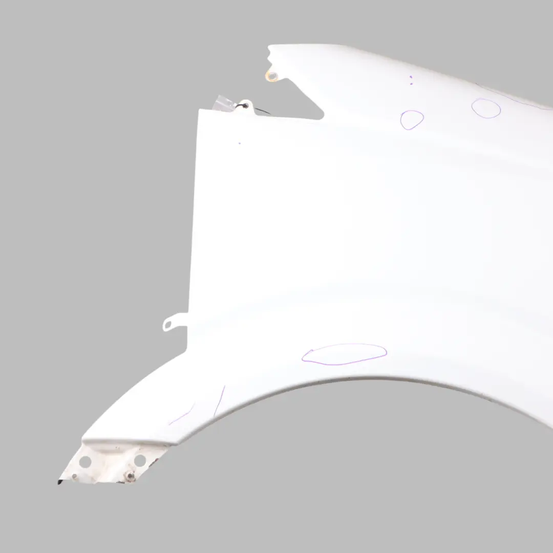 Mercedes Sprinter W906 Panel lateral delantero derecho Guardabarros Arctic White - SKU A9068810201-ARW1 - Número de pieza A9068810201