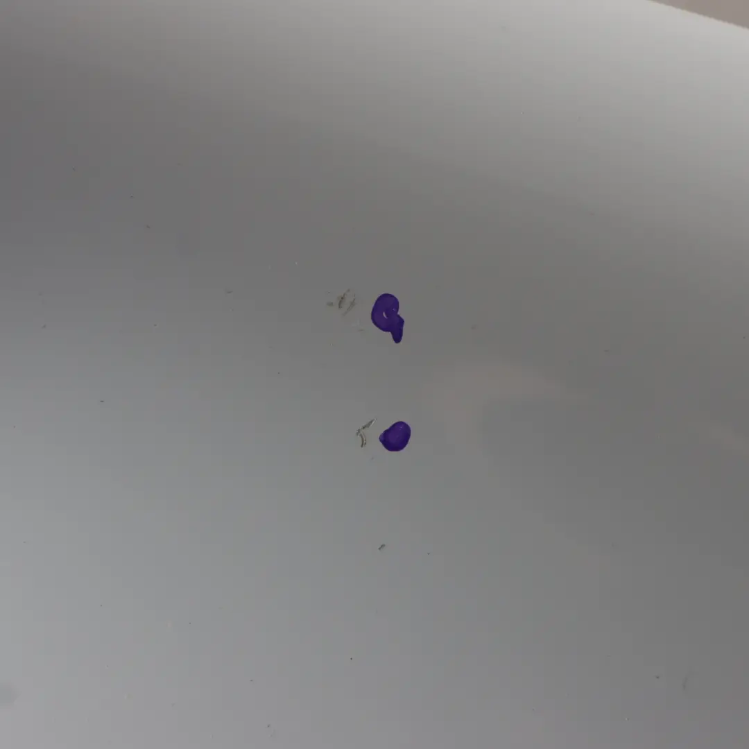 Błotnik Prawy Przedni Arctic White Biały - 9147 do Mercedes Sprinter W906 o numerze A9068810201 Mercedes Sprinter W906 Błotnik Prawy Przedni Arctic White Biały - 9147 - SKU A9068810201-ARW1 - Numer Części A9068810201