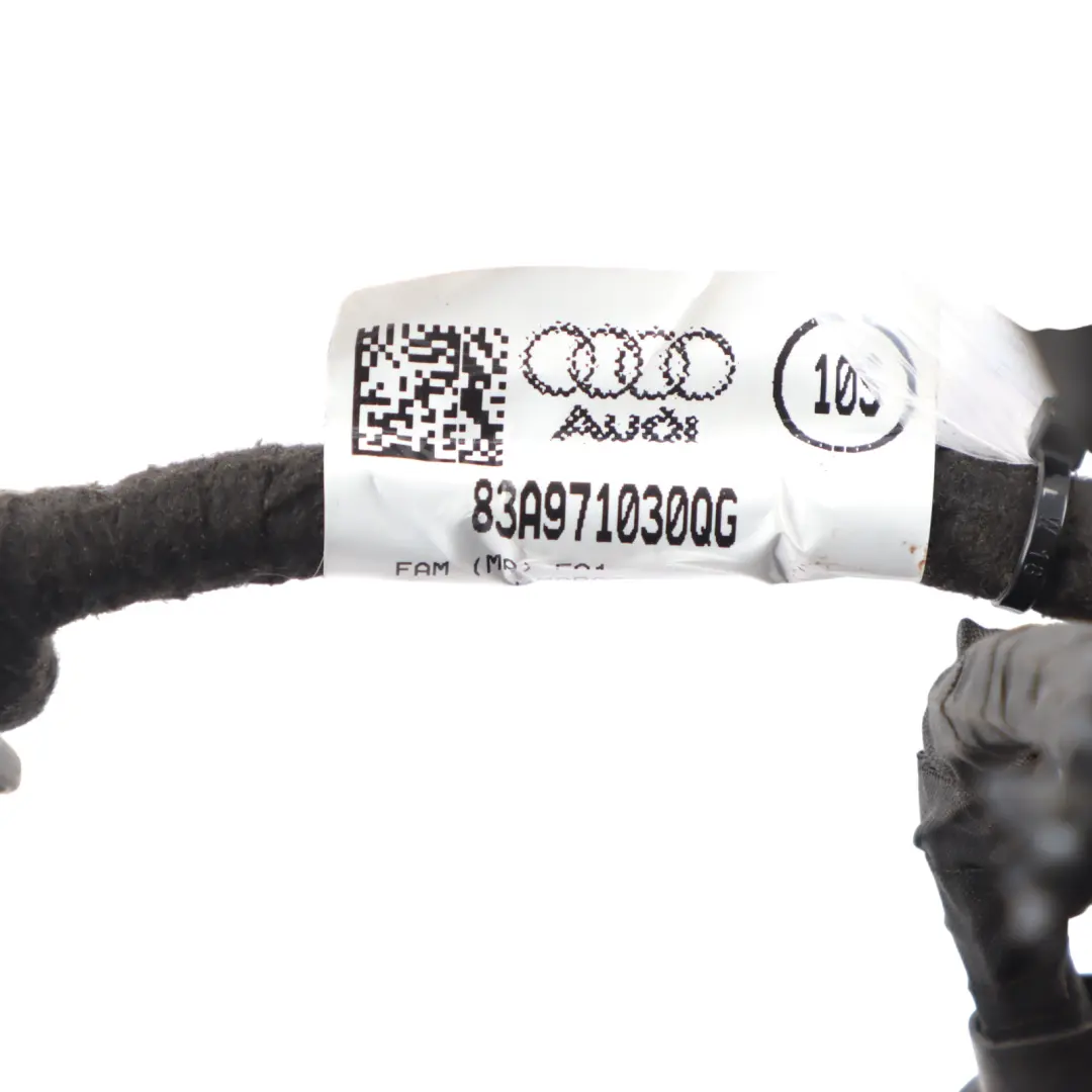 RSQ3 F3 Front Door Wiring Harness Loom Cable Left N/S to Audi with Part number 83A971030QL Audi RSQ3 F3 Front Door Wiring Harness Loom Cable Left N/S - SKU RHD-83A971030QL - Part number 83A971030QL