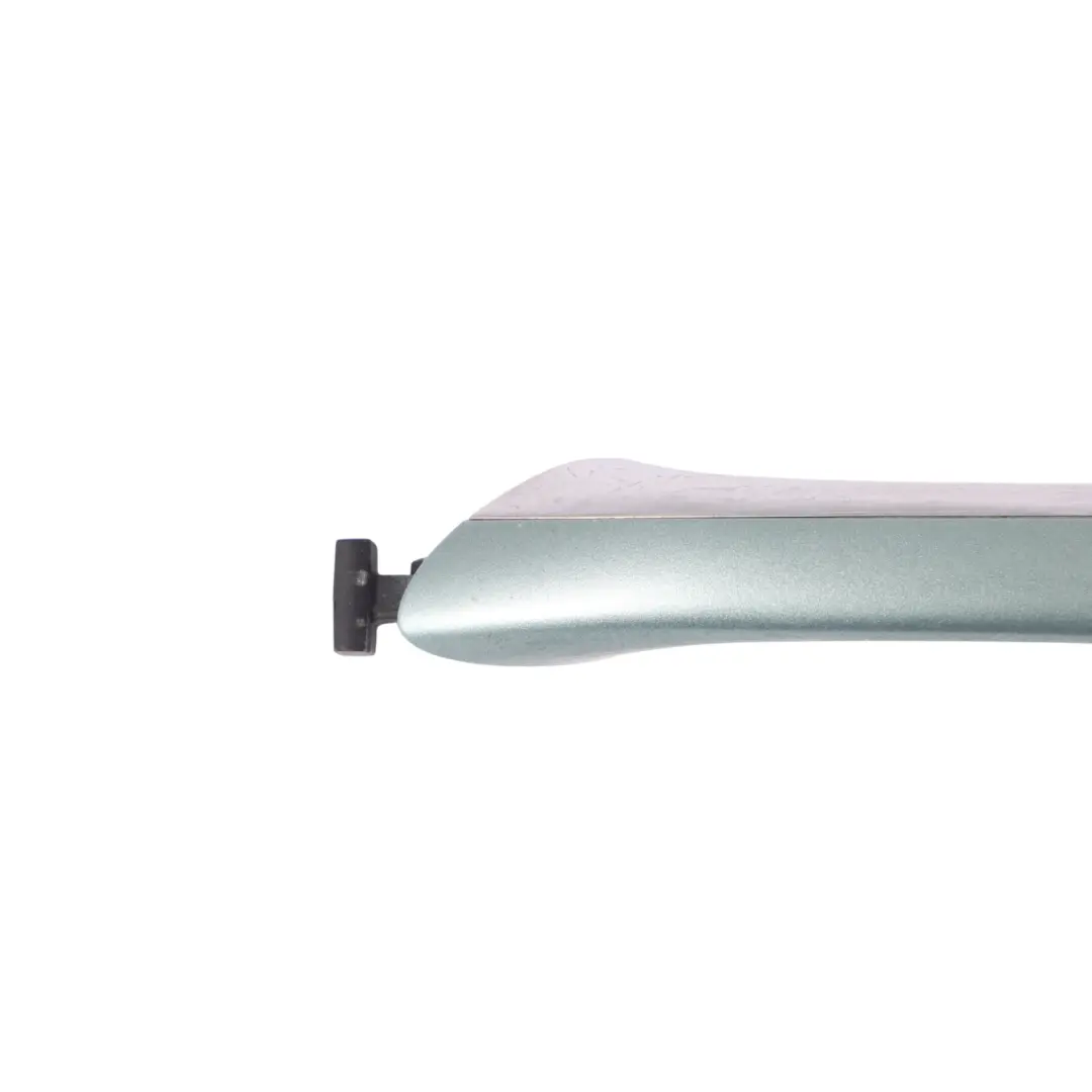 Mercedes W169 W245 Handle Front Left N/S Door Spring Source Blue 958 - SKU RHD-A1697600170-SS0 - Part number A1697600170
