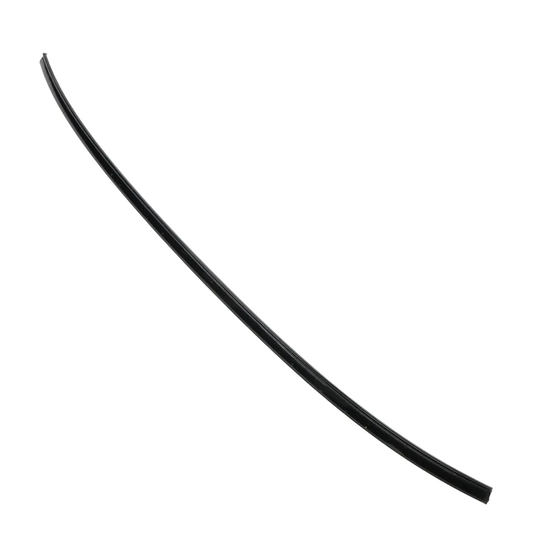 Modanatura tetto sinistro Ringhiera grondaia Schwarz Nero per BMW E60 E60N con numero di parte 7070195 BMW E60 E60N Modanatura tetto sinistro Ringhiera grondaia Schwarz Nero - SKU 0031141-SCH - Numero di parte 7070195