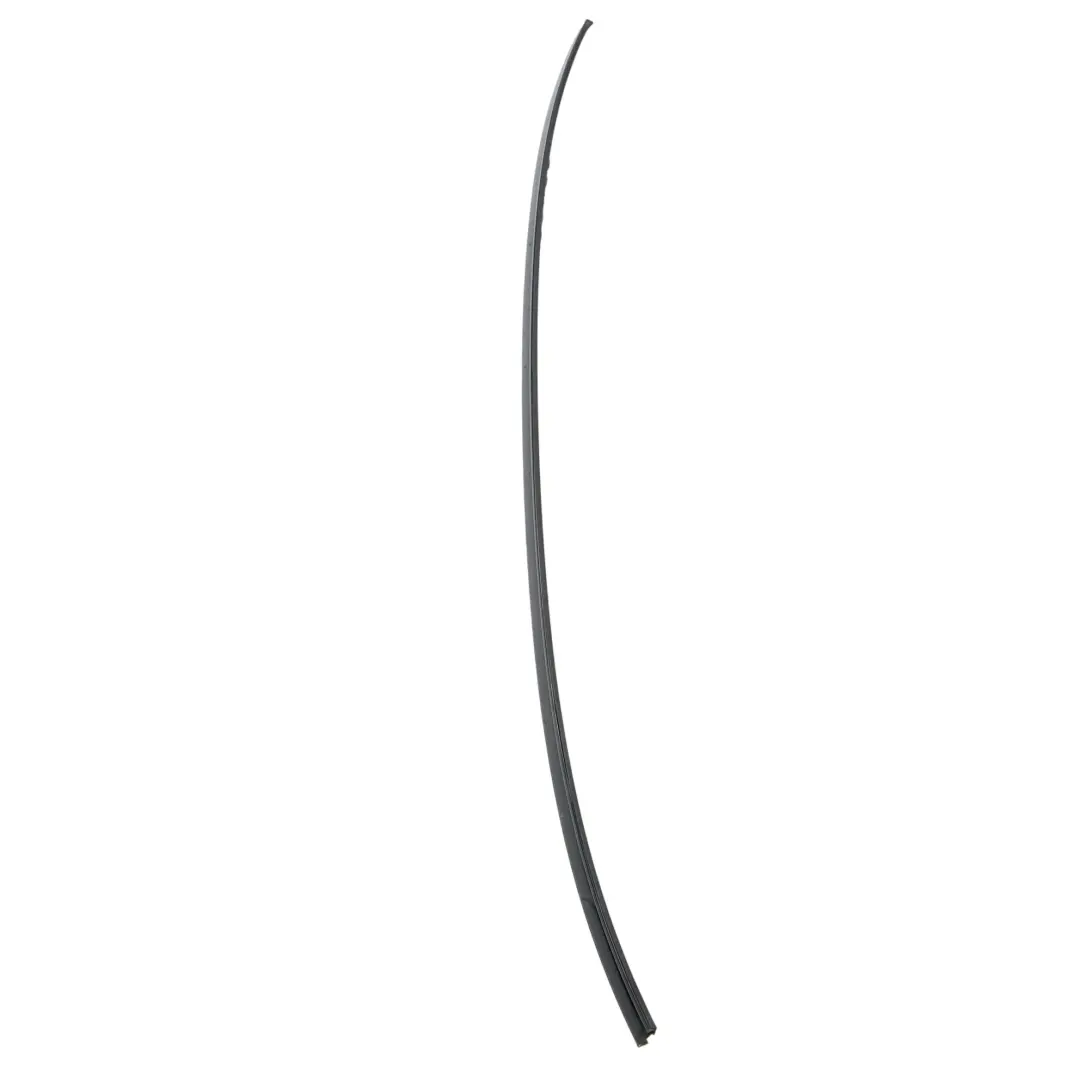 BMW 5 er E60 E60N Zierleiste Dach Lackiert Links Schwarz 2 Black - SKU 0031141-SCH - Teilenummer 7070195